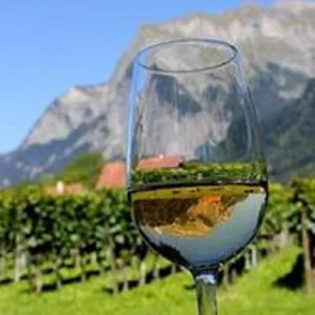 Отель Restaurant Heidihof *