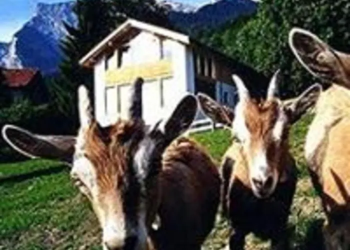 Restaurant Heidihof *