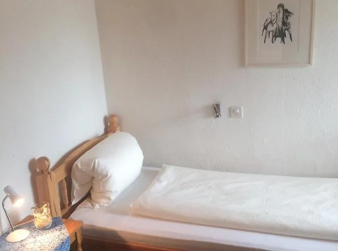 レストラン ハイジホフ マイエンフェルト