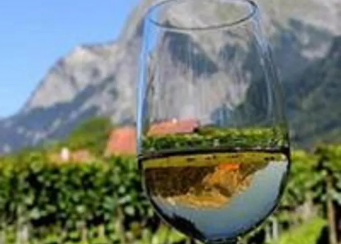 ホテル レストラン ハイジホフ *