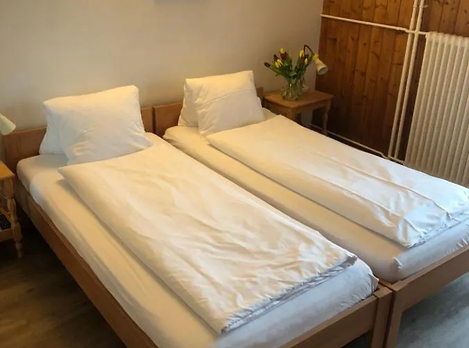 ホテル レストラン ハイジホフ *